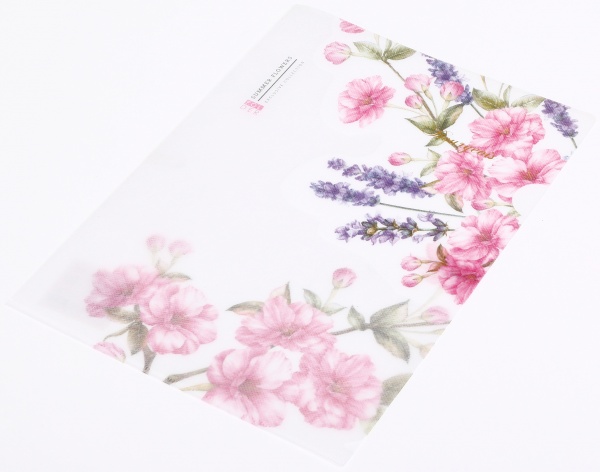 Папка-уголок A4 цветная печать P0142 в ассортименте Bourgeois 