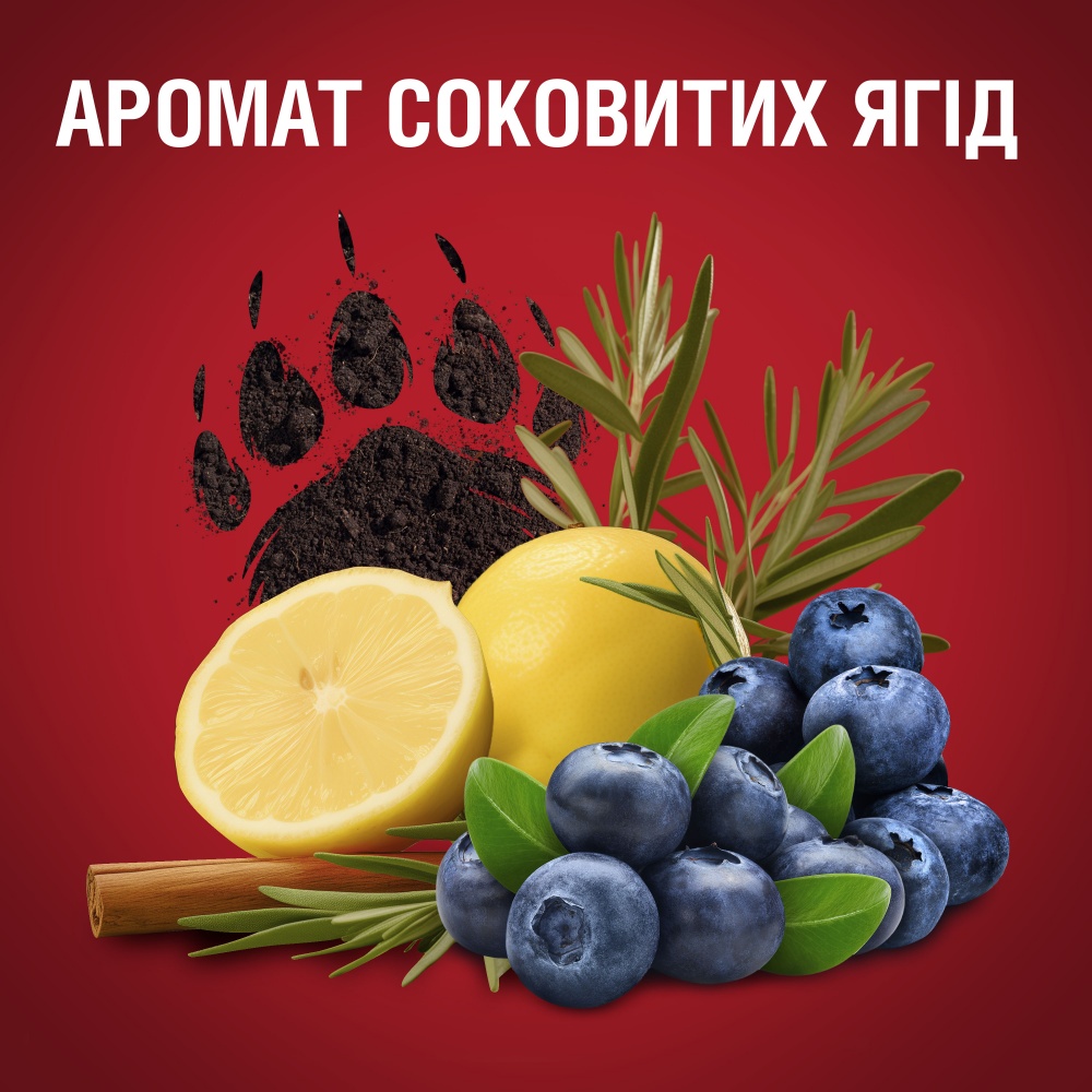 Гель для душа Old Spice 3-в-1 Bearglove 1000 мл