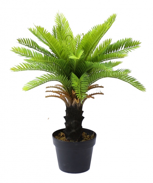 Дерево искусственное Cycas Palm (DW-24) Engard