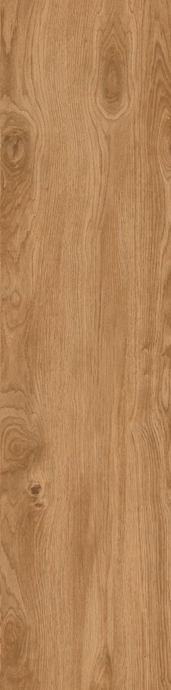 Плитка Allore Group Timber Gold F PR R Mat 30x120 см