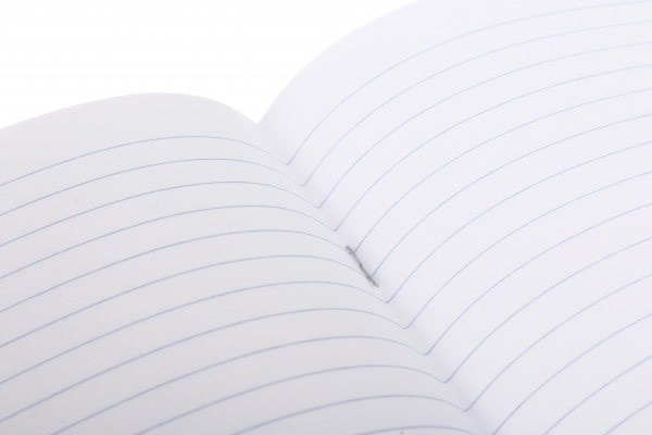 Зошит шкільний Kitten 12 аркушів лінія Nota Bene