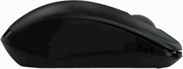 Мишка RAPOO 1620 