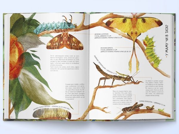 Книга Вальтер Фогато «Комахи на всі 100%» 978-617-791-415-9