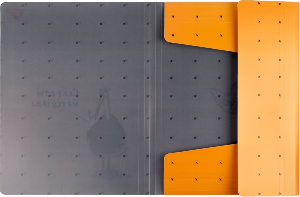 Папка A4 на резинці Гусь YES 491808 