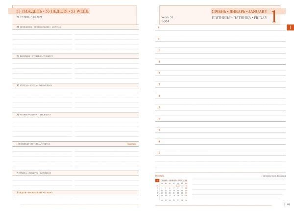 Щоденник А5 Destiny 2021 червоний Leo Planner