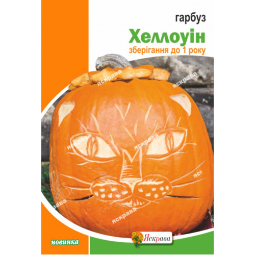 Семена Яскрава тыква Хэллоуин