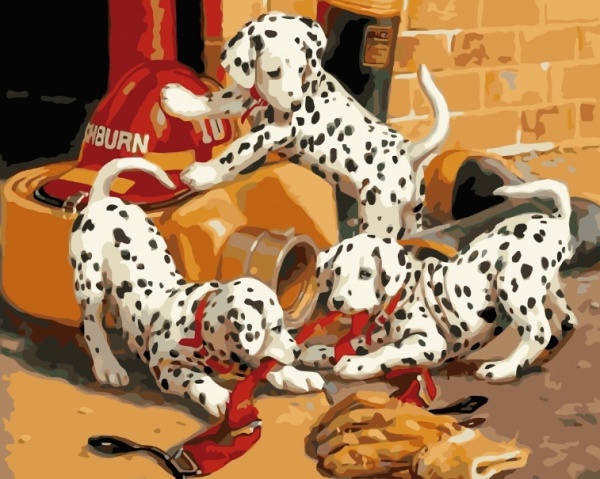 Картина за номерами Далматинці bk_1339 50x40 см BookOpt 