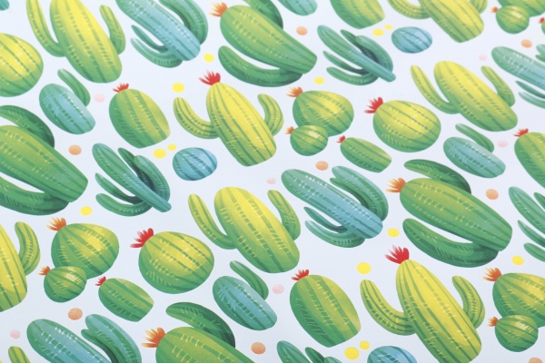 Бумага для упаковки Bourgeois 70x100 см 