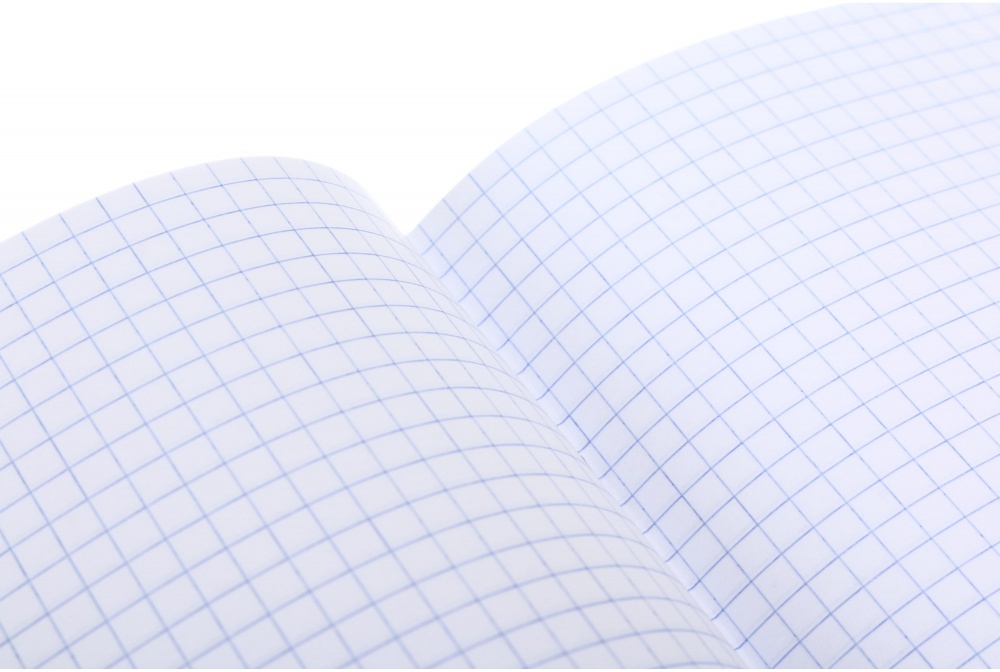 Тетрадь 24 листа в клеточку (2252547040010) Nota Bene