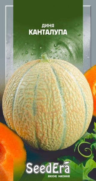 Семена Seedera дыня Канталупа 10 шт.