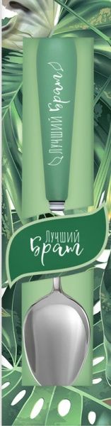 Ложка іменна Флора 007-Лучший брат Be Happy