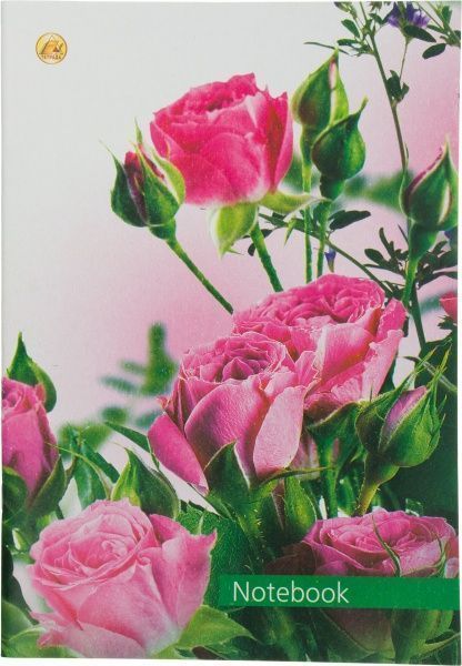 Тетрадь школьная 48 листов в клетку 13588 Тетрада