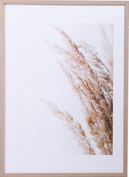 Картина Сухоцвіт 50x70 см Styler OB-14040 