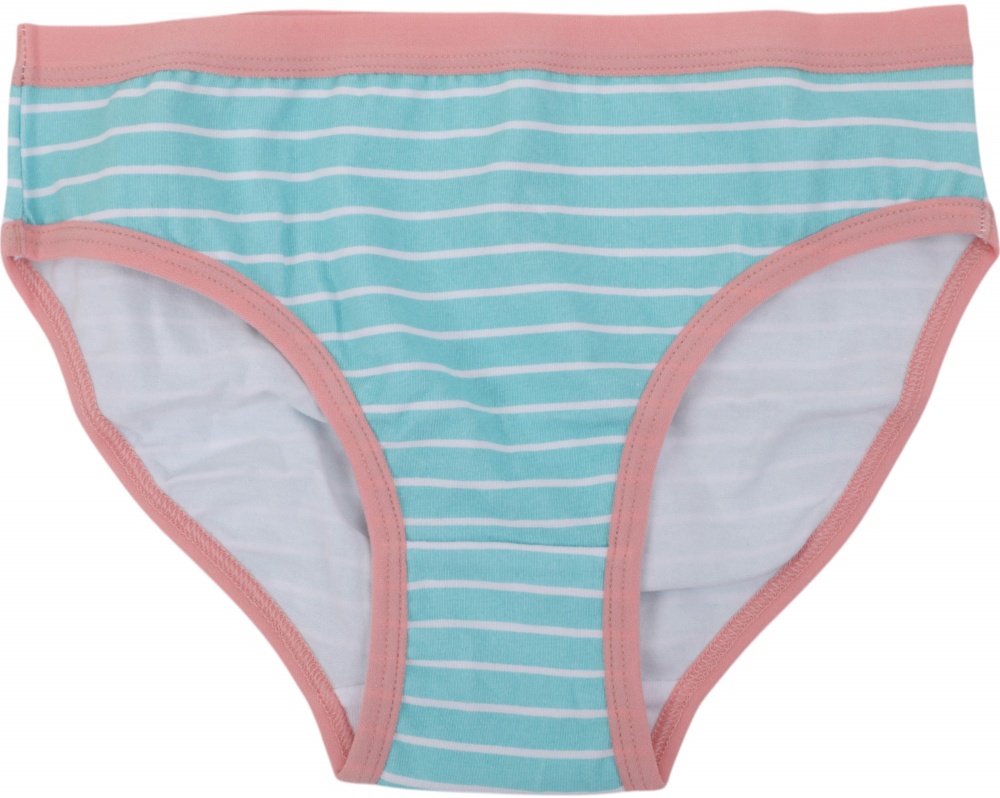 Набор трусов для девочек HW 3 пары р.98-104 розовый с голубым E1-F1