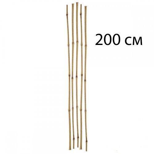 Бамбукова палка 195-200 см 1 шт.