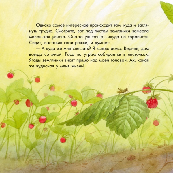 Книга Наталья Чуб «Два червячка» 978-617-09-3748-3