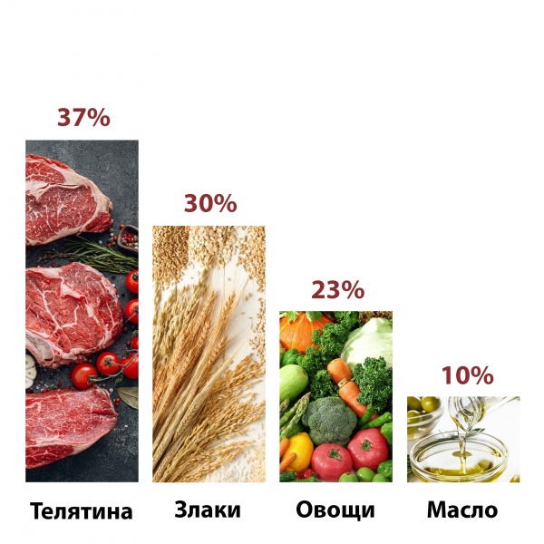 Корм сухой для собак для всех пород German Shephy Silver Beef Говядина 10 кг