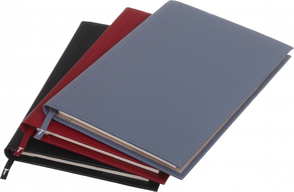 Дневник недатированный Флай красный ТЕКО A4 Е 040-00.62-312260