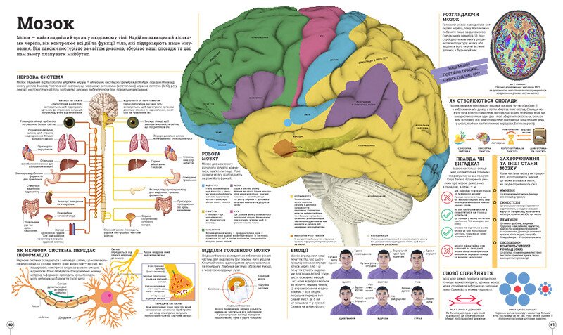 Книга «Дивипедія» 978-617-09-9237-6