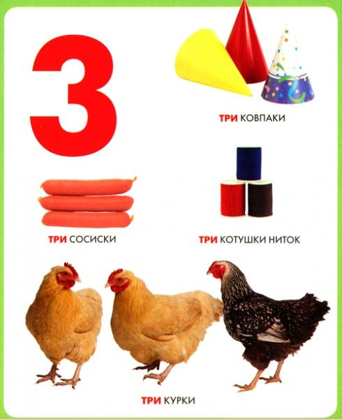 Книга «Книга. Цифри. Моя перша книжка»