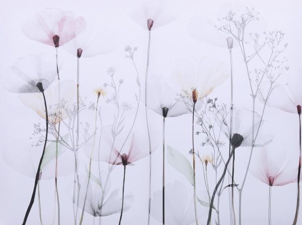 Картина Модерна С 75x100 см Styler GL-12530 