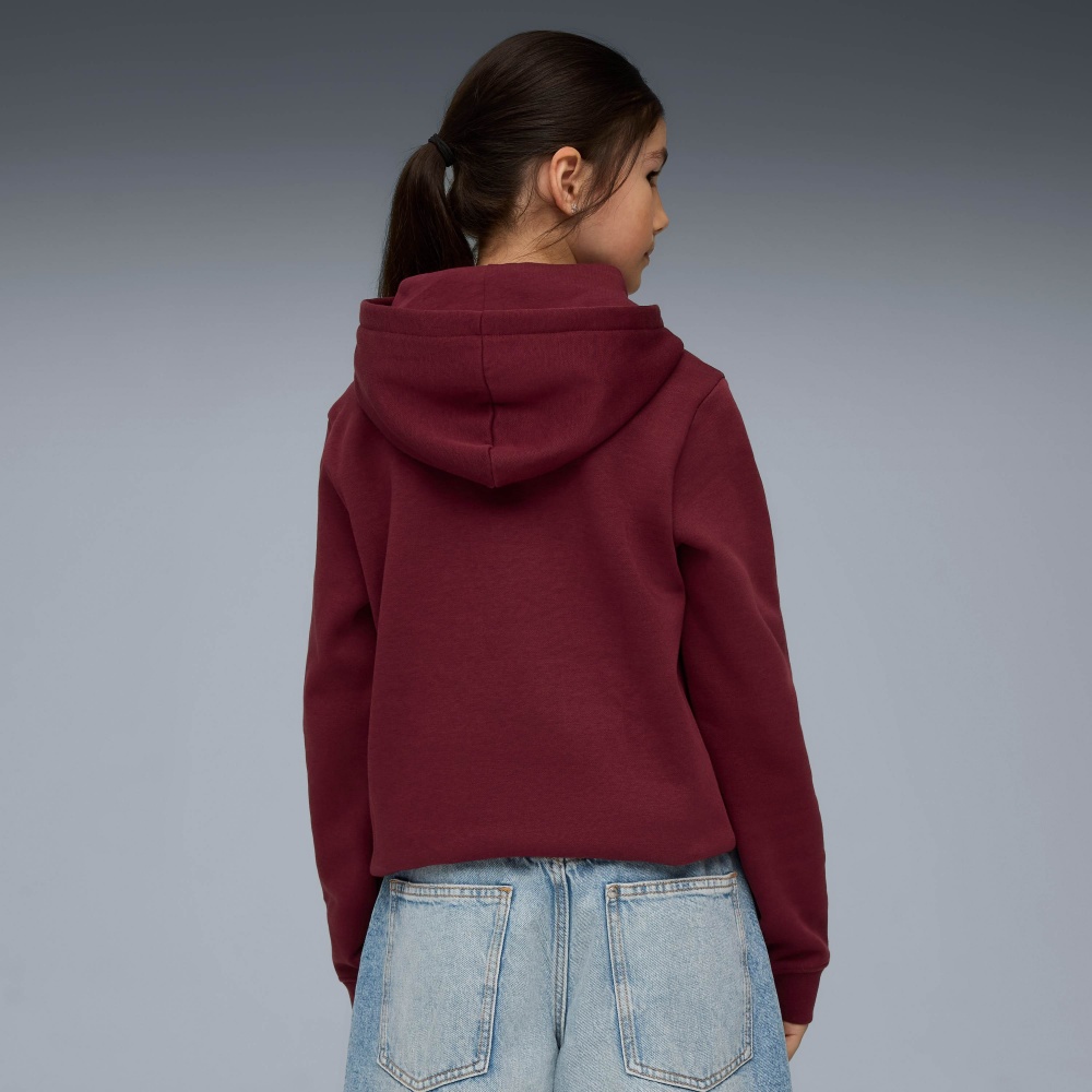 Джемпер Puma ESS No. 1 Logo Hoodie FL G 68489696 бордовий