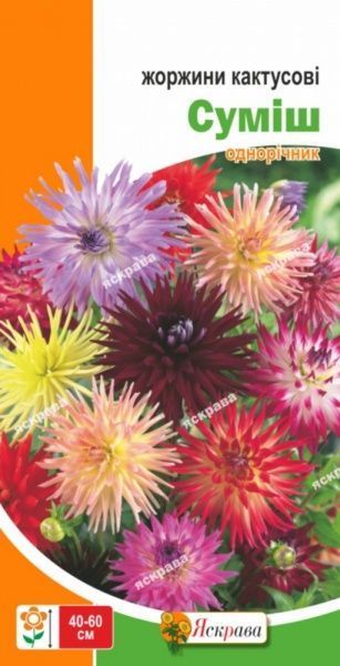 Насіння Яскрава жоржина Кактусова суміш 0,3 г (4823069813017)