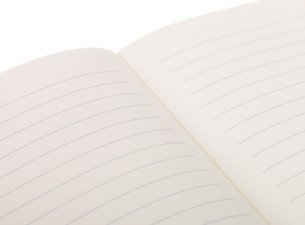 Блокнот Ананас 25х18 см Mikirei