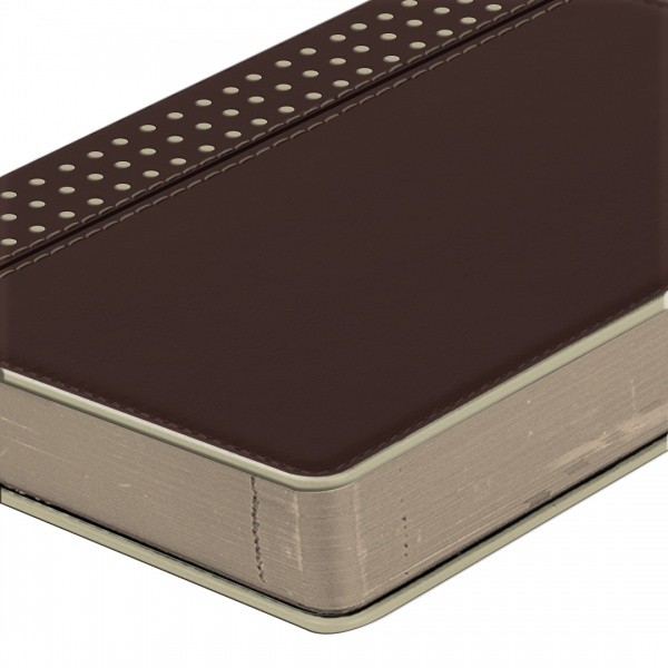 Дневник датированный коричневый Leo Planner Destiny A5 2022