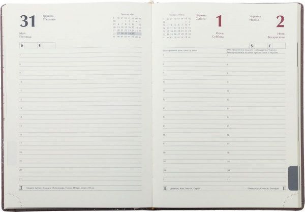 Щоденник 2019 Donna A4 336 страниц капучіно Buromax 