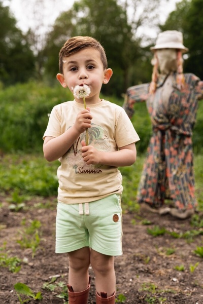 Шорты для мальчиков Koko Noko р.110 светло-зеленый T46817-37 