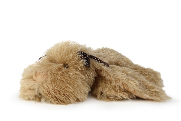 М'яка іграшка WP Merchandise Пес Ронні 36 см коричневий FWPDOGRONNIE23BN0