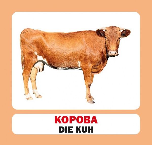 Книга «Навчальний посібник. Домашні тварини. нім-укр»