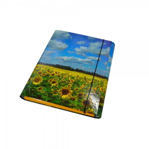 Папка-короб на резинці А4 25 мм в асортименті iTEM