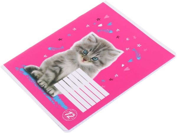 Тетрадь школьная 12 листов в косую линию Мечты сбываются