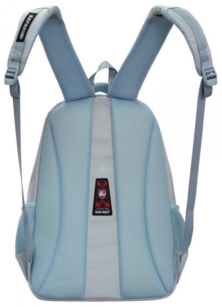 Ранец школьный Safari 2 отделения 21-195L-1