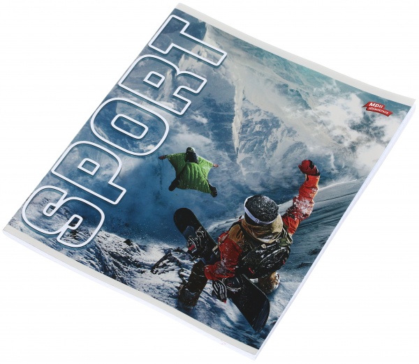 Тетрадь школьная серебро 4 листов в клеточку в ассортименте Мечты сбываются