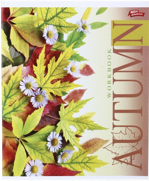 Зошит шкільний 60 аркушів у клітинку в асортименті Мрії збуваються