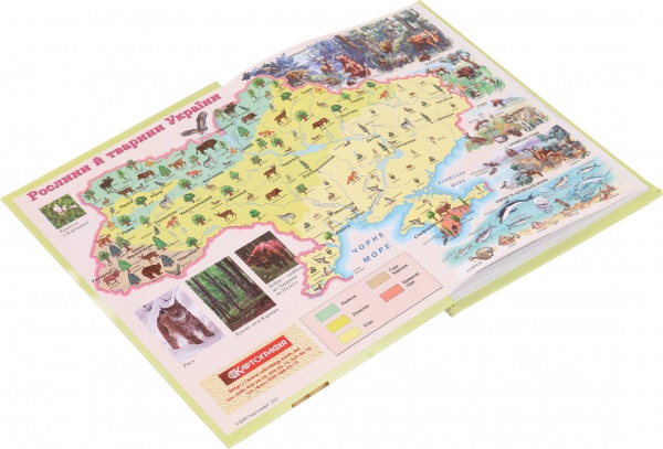 Дневник школьный Anime 2 Nota Bene