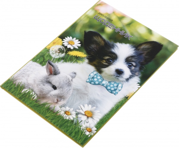 Щоденник 741 7БЦ матова ламінація 165х240 мм 40 аркушів Mandarin