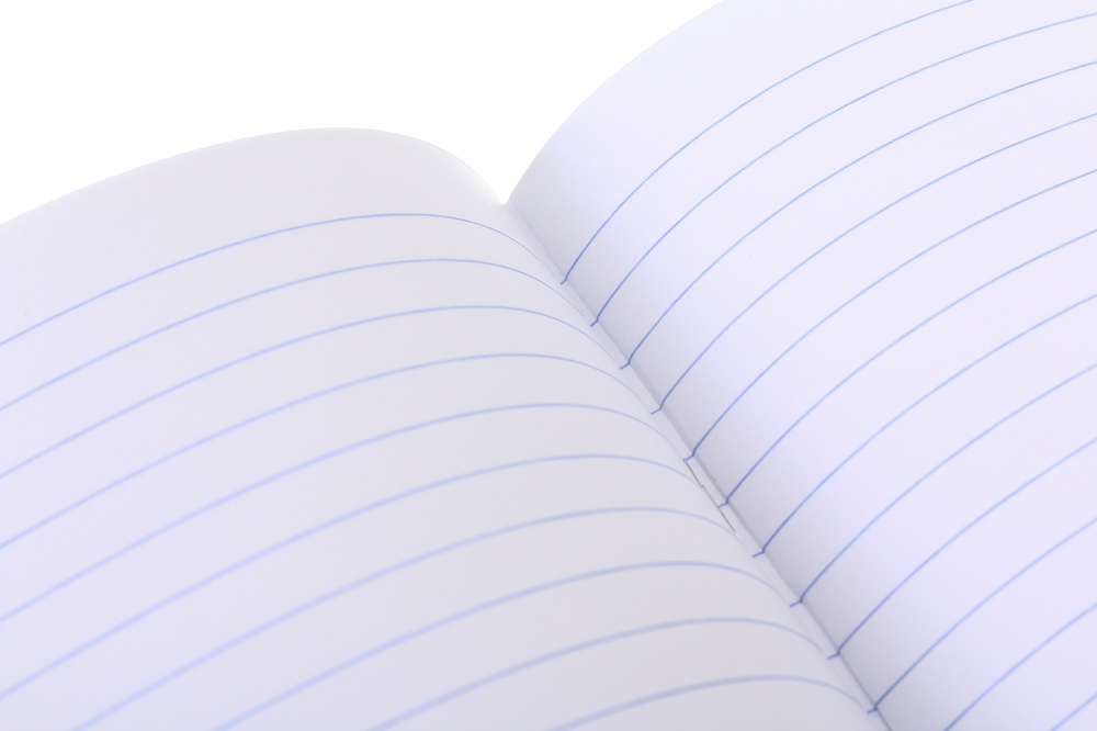 Тетрадь школьная Pixel landscape2_25 48 листов в линейку Nota Bene