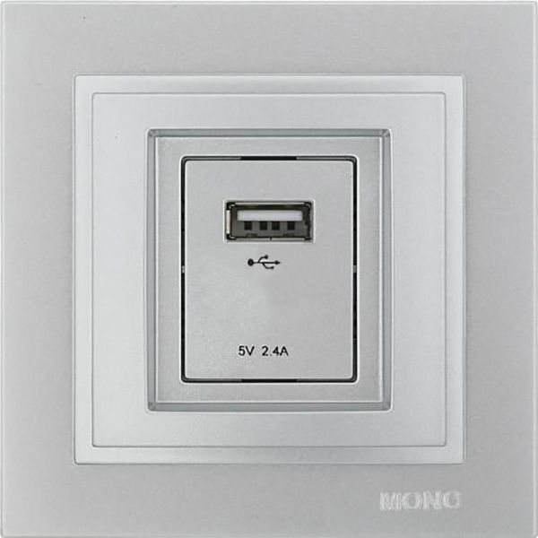 Розетка USB із заземленням Mono Despina без шторок без кришки сріблястий 102-212105-177