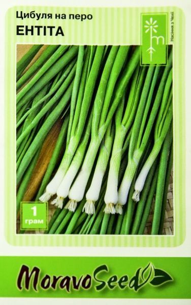 Семена MoravoSeeds лук-резанец Энтита 1г