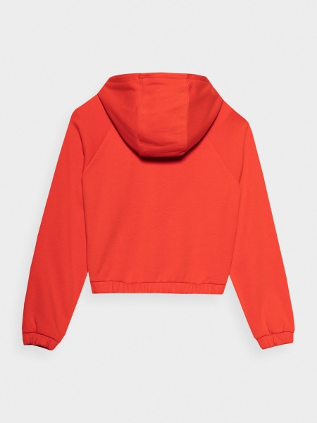 Джемпер 4F SWEATSHIRT F0847 4FSS23TSWSF0847-62S р. L червоний
