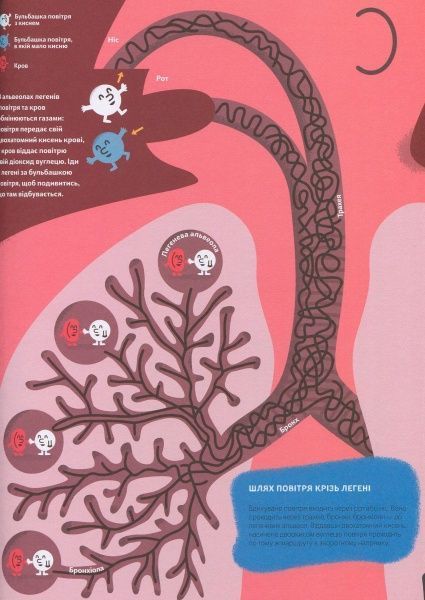 Книга Кристиан Камара «Пізнавальна книжка-гра. Тіло людини» 978-617-739-598-9