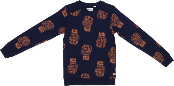 Джемпер для мальчика NWM Бокс р.134 синий с принтом U44230-1 