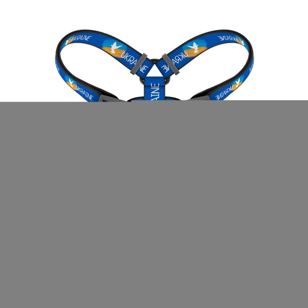 Шлея Waudog Nylon Флаг + QR паспорт H-образная размер S 5140-0229