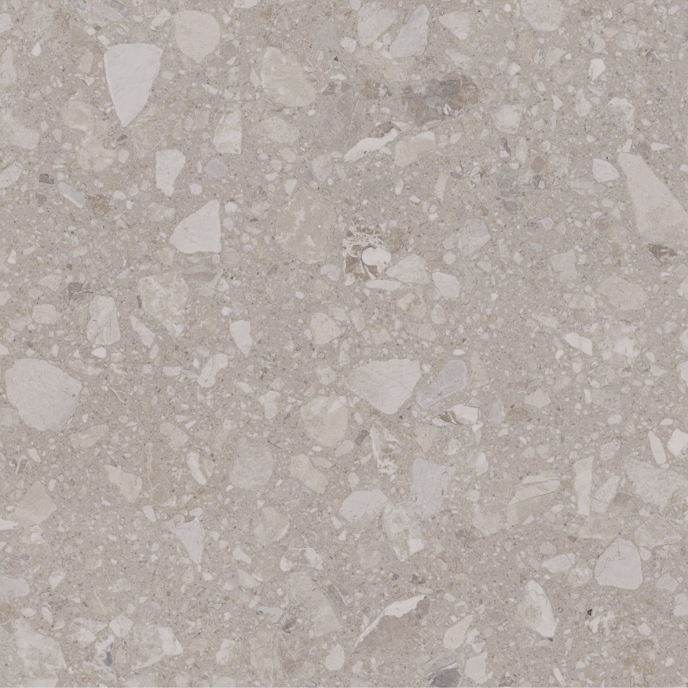 Плитка Allore Group Terra Beige F P R Mat 60x60 см