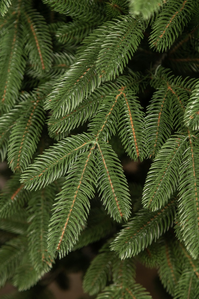 Искусственная елка литая Лапландская 2,50 м зеленая Україна