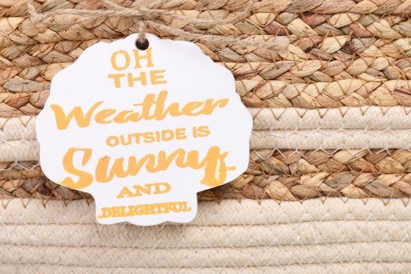 Корзинка плетеная Tony Bridge Basket с текстилем 30х21х16 см YJN20-1S3-3 